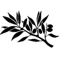 FRN_法琅_Francs_FRN交易所