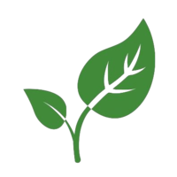 CLF_CryptoLeaf_CLF交易所_CLF币